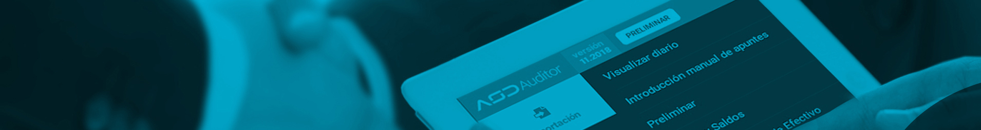 auditing-software-distributor