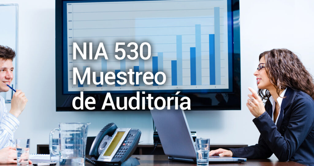 software-auditorias-financieras-auditing-software-distributor